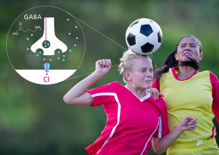 Heading a football seems to release the inhibitory brain chemical GABA.
